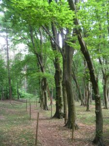 Roccolo Carcano lungo il sentiero delle uccellande